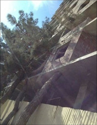 Anh doc chi co o Nga 39-Hinh-10