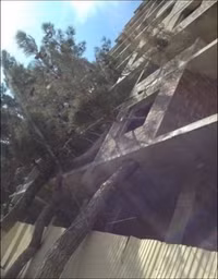 Anh doc chi co o Nga 39-Hinh-10