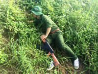 Tân sinh viên nỗ lực rèn luyện trên thao trường ảnh 9