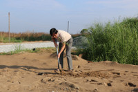 ĐH Kiên Giang: Trồng cây kỷ niệm 126 năm sinh nhật Bác Hồ ảnh 5