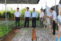 ĐH Kiên Giang: Trồng cây kỷ niệm 126 năm sinh nhật Bác Hồ ảnh 6