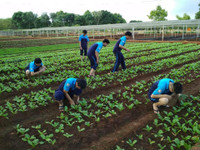 Học sinh hào hứng tham gia học tập trải nghiệm môn GDQP và AN ảnh 6