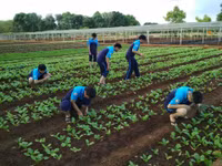 Học sinh hào hứng tham gia học tập trải nghiệm môn GDQP và AN ảnh 6