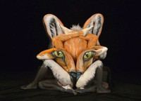 Cô gái có tài “biến” người thành động vật hoang dã ảnh 6 body painting, Shannon Holt