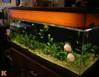 Ngắm nhà đẹp mà sang của Bảo Trâm Idol ảnh 9 Ngắm nhà đẹp mà sang của Bảo Trâm Idol - 9