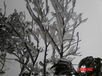 Chùm ảnh: Băng tuyết trắng trời Phanxipang ảnh 5