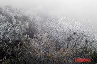 Chùm ảnh: Băng tuyết trắng trời Phanxipang ảnh 2