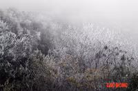 Chùm ảnh: Băng tuyết trắng trời Phanxipang ảnh 2