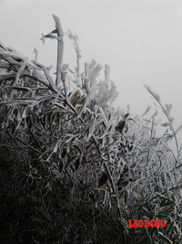 Chùm ảnh: Băng tuyết trắng trời Phanxipang ảnh 8