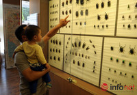 Xem mẫu vật khủng long, hổ, báo, gấu... ở Bảo tàng Thiên nhiên Việt Nam ảnh 14