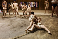 Ben trong cac cau lac bo sumo cho tre em o Nhat Ban