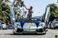 Hành trình năm nay bắt đầu từ ngày 5-13/6, tại San Diego và kết thúc tại Miami. Điểm chung của những siêu xe đắt giá trong hành trình goldRush Rally chính là dàn vỏ mang nhiều màu sắc và những hoạt tiết độc đáo. 