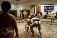 Ben trong cac cau lac bo sumo cho tre em o Nhat Ban