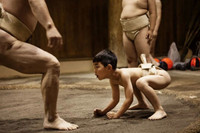 Ben trong cac cau lac bo sumo cho tre em o Nhat Ban