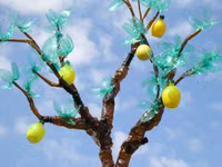 Tác phẩm sống động từ nghệ thuật cắt tỉa vỏ chai ảnh 6