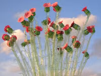 Tác phẩm sống động từ nghệ thuật cắt tỉa vỏ chai ảnh 3