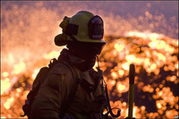 Luật cấm ăn uống kỳ lạ ở nước Mỹ hiện đại ảnh 9