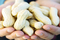 Luật cấm ăn uống kỳ lạ ở nước Mỹ hiện đại ảnh 5