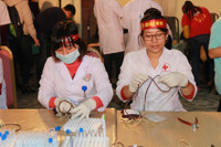 Nghệ An: Hàng nghìn đoàn viên, thanh niên đội mưa hiến máu tình nguyện ảnh 5 Nghệ An: Hàng nghìn đoàn viên, thanh niên đội mưa hiến máu tình nguyện ảnh 5