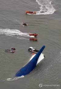 Hàn Quốc: Suối lệ mong ngóng đầu xanh ảnh 3