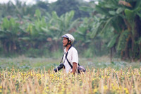 Nông dân miền Tây tất bật chuẩn bị hoa Tết ảnh 12