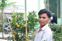 Nông dân miền Tây tất bật chuẩn bị hoa Tết ảnh 8