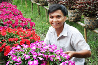 Nông dân miền Tây tất bật chuẩn bị hoa Tết ảnh 11