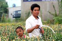 Nông dân miền Tây tất bật chuẩn bị hoa Tết ảnh 1