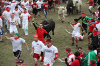 Đàn ông Mỹ chạy đua cùng bò