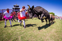 Đàn ông Mỹ chạy đua cùng bò