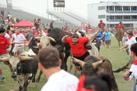Đàn ông Mỹ chạy đua cùng bò