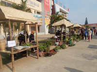 Tái hiện Hội hát cầu huê của người Việt ở vùng An Khê ảnh 2