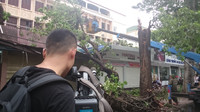Hà Nội bị thương, tình người bén rễ ảnh 12 Hà Nội bị thương, tình người bén rễ ảnh 12