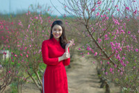 Hoa khoi 9x xu Muong khoe sac cung dao Xuan - Anh 10