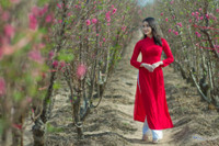 Hoa khoi 9x xu Muong khoe sac cung dao Xuan - Anh 5