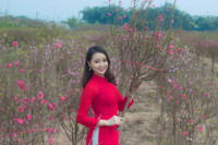 Hoa khoi 9x xu Muong khoe sac cung dao Xuan - Anh 2