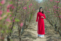 Hoa khoi 9x xu Muong khoe sac cung dao Xuan - Anh 7