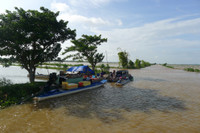 Rộn ràng chợ cá đồng mùa nước nổi ảnh 2