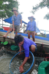 Rộn ràng chợ cá đồng mùa nước nổi ảnh 5