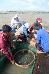 Rộn ràng chợ cá đồng mùa nước nổi ảnh 4