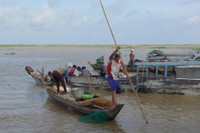 Rộn ràng chợ cá đồng mùa nước nổi ảnh 7