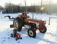 Vẻ ngộ nghĩnh cha con như đúc ảnh 4