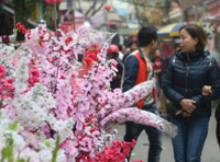 Chùm ảnh: Chợ hoa nổi tiếng nhất Hà Nội ngày giáp Tết - Ảnh 7