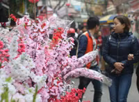 Chùm ảnh: Chợ hoa nổi tiếng nhất Hà Nội ngày giáp Tết - Ảnh 7