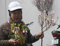 Chùm ảnh: Chợ hoa nổi tiếng nhất Hà Nội ngày giáp Tết - Ảnh 2