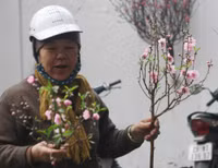 Chùm ảnh: Chợ hoa nổi tiếng nhất Hà Nội ngày giáp Tết - Ảnh 2