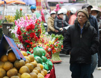 Chùm ảnh: Chợ hoa nổi tiếng nhất Hà Nội ngày giáp Tết - Ảnh 5