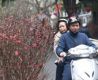 Chùm ảnh: Chợ hoa nổi tiếng nhất Hà Nội ngày giáp Tết - Ảnh 12