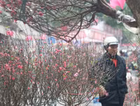 Chùm ảnh: Chợ hoa nổi tiếng nhất Hà Nội ngày giáp Tết - Ảnh 4