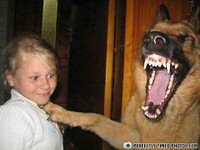 Hài hước với 15 bức ảnh... ""chộp"" ảnh 6